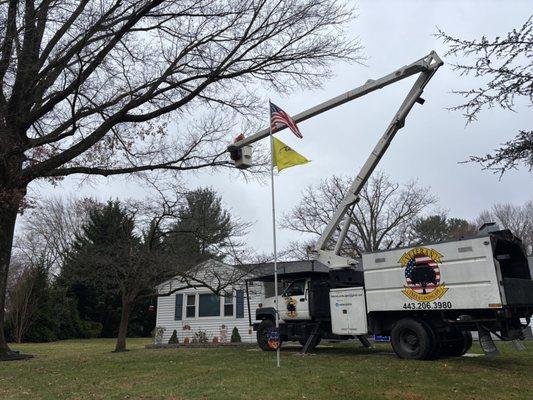 Veteran Landscape Tree Service