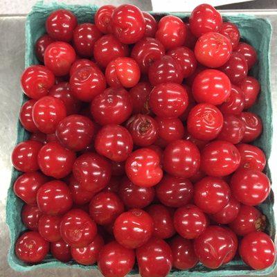 Our tart cherries are available as u-pick or pre-picked seasonally.  Generally available early- to mid-June.