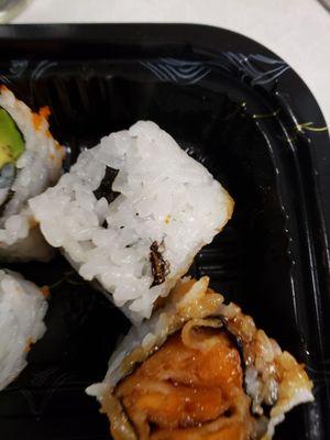 My coworker had an insect (looks like a cockroach) on her sushi. Disgusting!