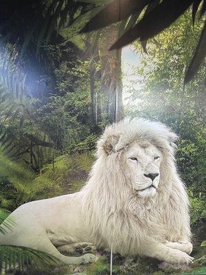 Majestic white lion mural