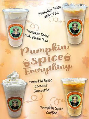 Pumpkin Spice Seasonal Drinks