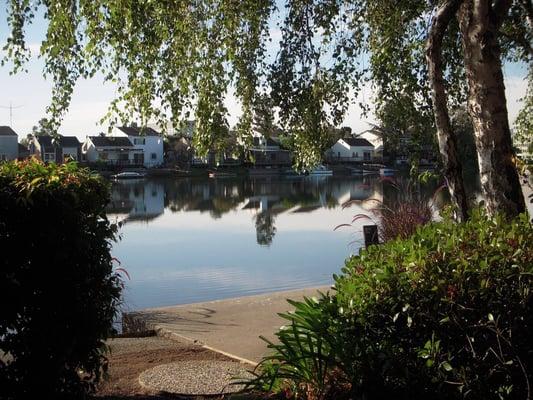 Location.  Our office is nestled right in the beautiful Redwood Shores area.