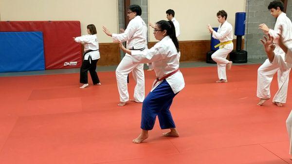 Houston karate dojo students practice kata