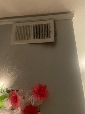 mold in vents