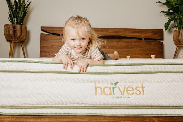 Little Girl laying down on Harvest Green Pillow Top Mattress