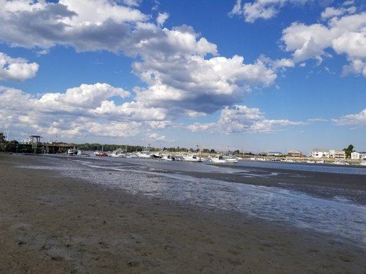 The harbor at low tide