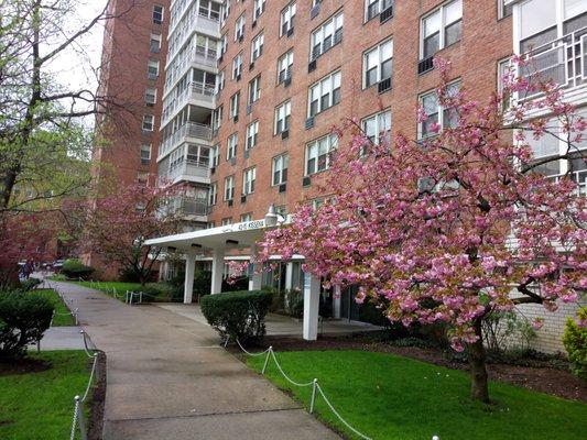 Carlyle Towers Cooperative A (by Jane Hoa) 43-10 Kissena Blvd. Flushing, NY 11355