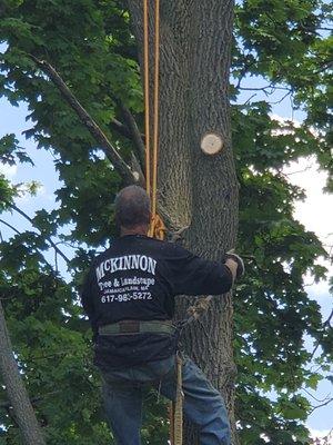 This guy is halarious! Good hardworking people.