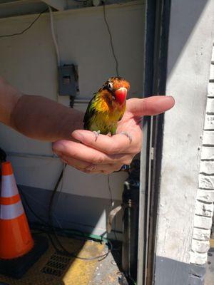 His pet, he was giving it a bath outside. It was great to see him caring for his pet.