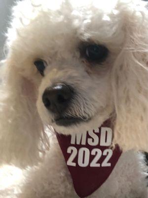 My daughter took her cap and gown shots along with her doggy!