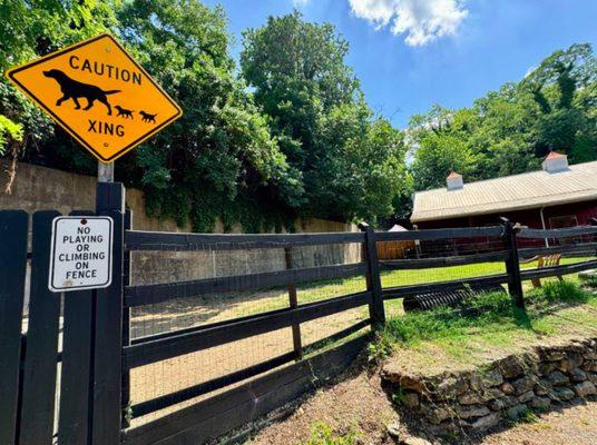 Community Dog Park