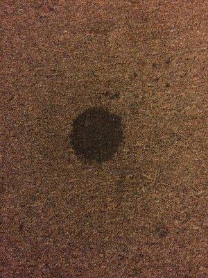 stain on rug outside of room