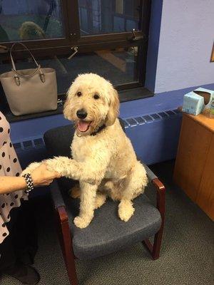 Harmony Fitness Training Mascot