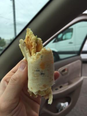 Flat bread breakfast sandwich with mold as a bonus.