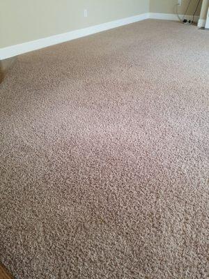 Very clean carpet