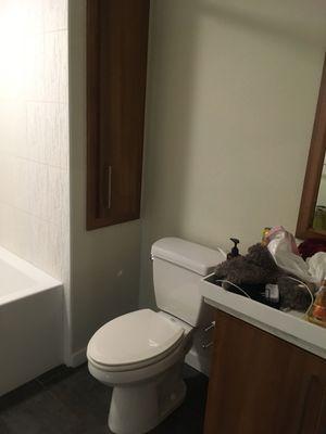 Move out bathroom: part 3