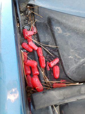 Staff left candy under the hood of car after repairs