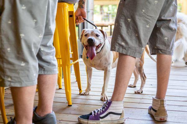 GRRROWLER'S Tap Room & Beer Garden