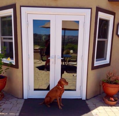 Our new French Door and windows. Simonton Daylight Max Series