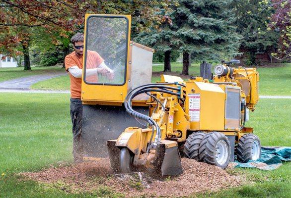 Stump Grinding By Chad