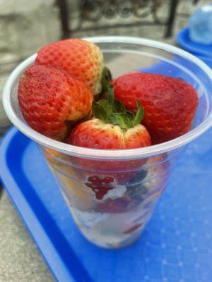 Fruit cup