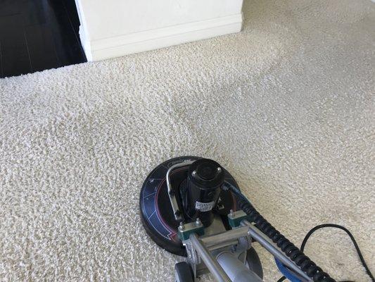 Carpet cleaning Aliso Viejo ca