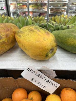 Papaya