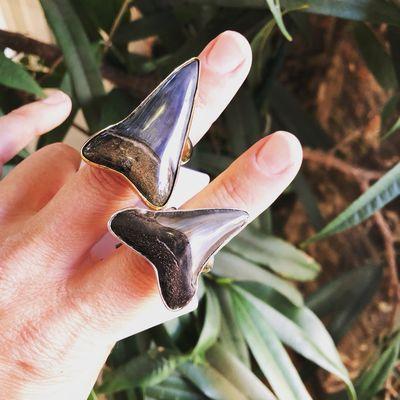 Amazing shark tooth adjustable rings!