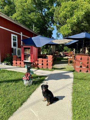 Pet friendly outdoor dining area