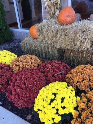 Outside the HGI. It's fall!