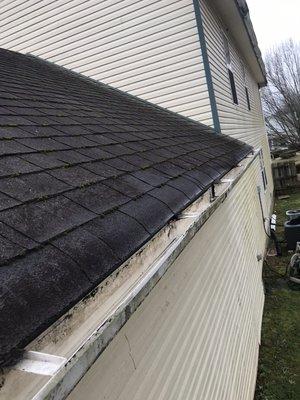 Cleaning Out gutters