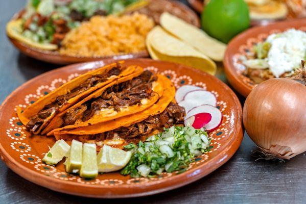 Birria plate