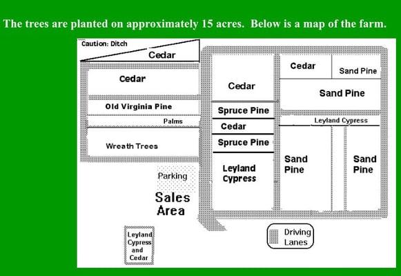 Songer's Christmas Tree Farm