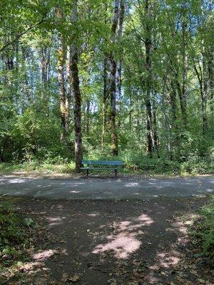 Bench located along the walking path