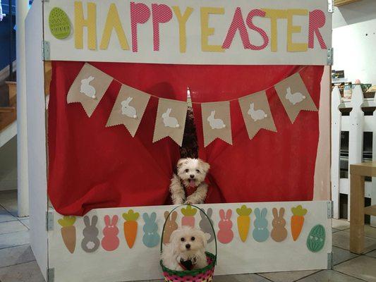 Easter photo booth fun at polka Dog Bakery!