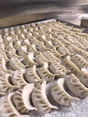 Handmade Dumplings