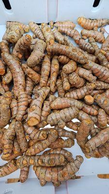 Fresh turmeric