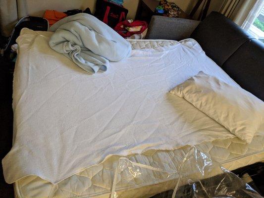 Sheet is too small, no flat sheets, no pillowcase provided for pull-out couch. Front desk unresponsive to calls.