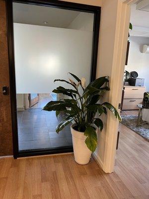 Our entrance hallway with privacy film applied by Shaun's crew.