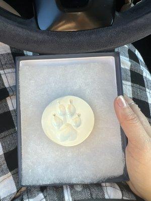 Perfect paw print