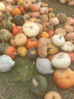 Pumpkins