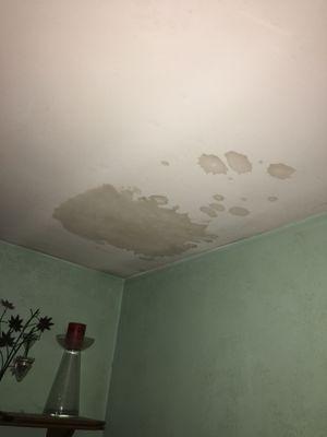 family room ceiling paint damage