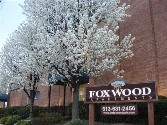 Foxwood Apartments