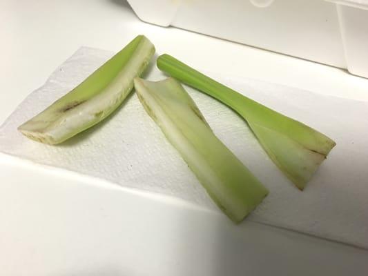 Celery I got with my order of wings. Dry. Dirty. Rubbery. This was consistent with every time I ordered. Some orders had only 2 sticks.