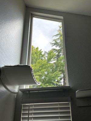 Odd shaped window