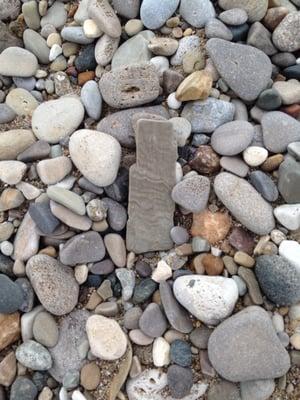 Rocky beach along the shore