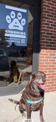 Some welcomed sunshine glowing of Ms. Abby's shiny clean coat.