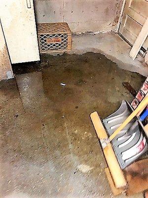 Basement Flood