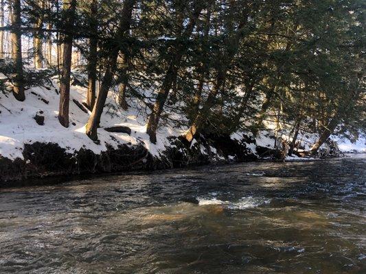 Pine River Paddlesport Center