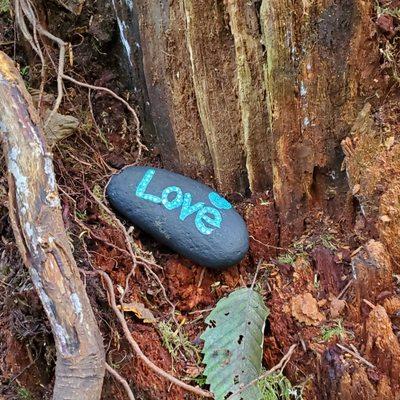 Found a painted rock to hide along the trail.